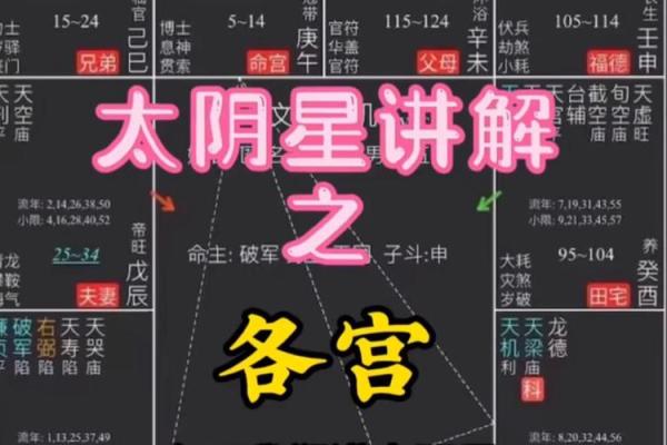 紫薇斗数太阴陷