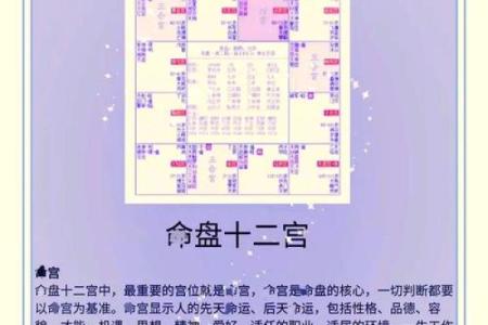紫微斗数之诸星落命宫参断