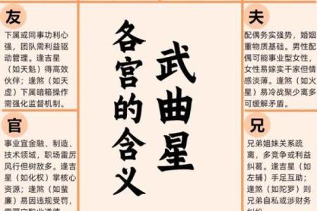 紫微斗数之各星曜所主行业：看财运
