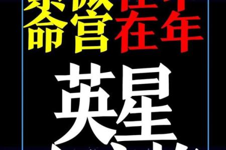 紫薇斗数视频合集