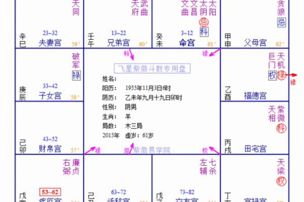 紫薇斗数看配偶姓名