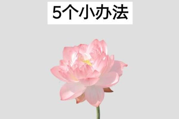 简单教你几招,学会自己看风水 简单教你几招,学会自己看风水