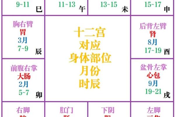 紫薇斗数紫薇疾厄
