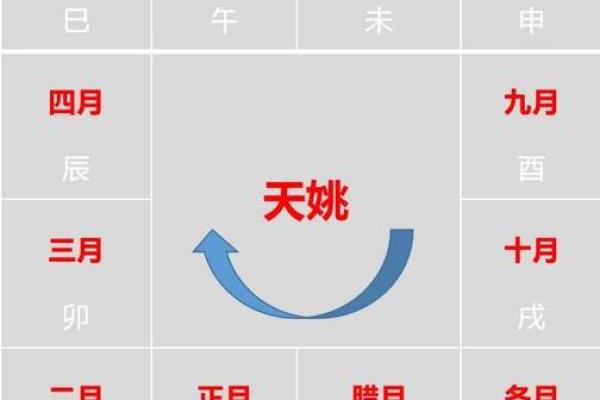 紫薇斗数排盘易安