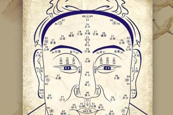 26种面型算命图解