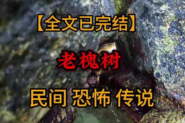 风水鬼故事之坟头怪树 风水鬼故事之坟头怪树