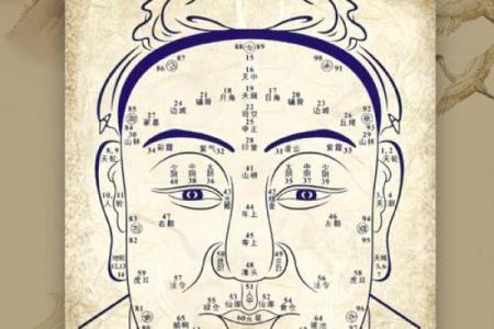 26种面型算命图解