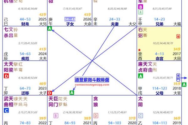 循环忌紫薇斗数