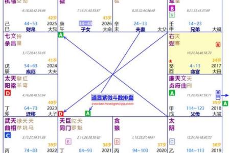 循环忌紫薇斗数