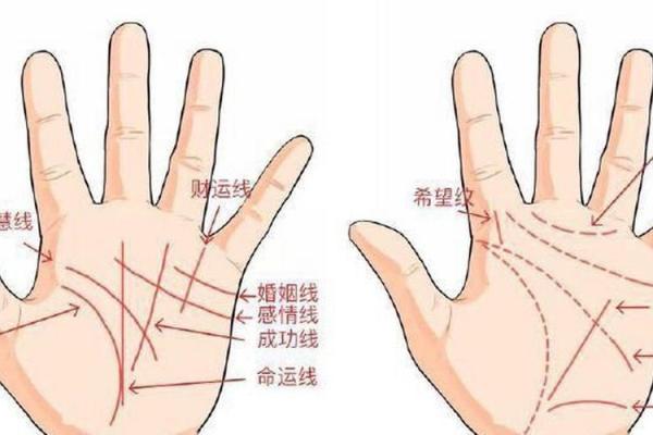 凯帝阿手相算命图解大全07