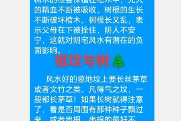 坟地风水学基本常识有哪些 坟地风水学基本常识有哪些