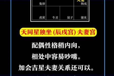 紫薇星盘免费测试姻缘