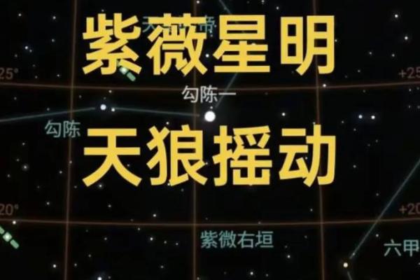 紫薇星明什么意思