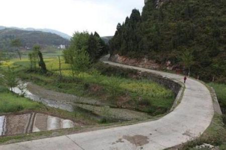 见了“黄大仙”，这事不一般，农民很为难