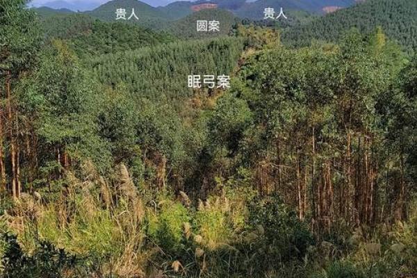 南宁风水_广西的左江在哪里啊 南宁风水_广西的左江在哪里啊