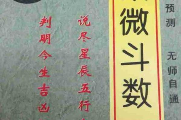 武广盛紫薇斗数