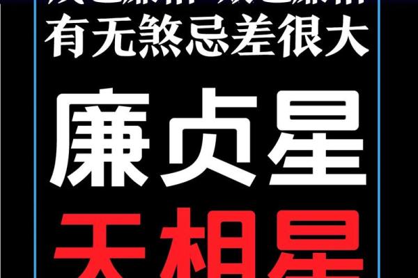 武广盛紫薇斗数