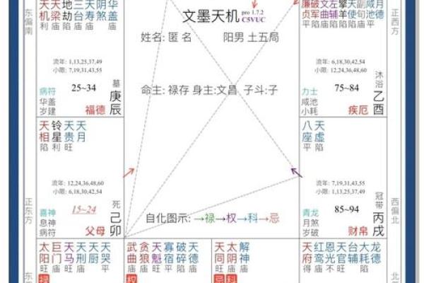 假从紫微斗数 紫微斗数实战？