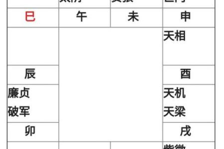 紫微斗数之疾厄宫与诸星，天同星在疾病宫是什么意思？