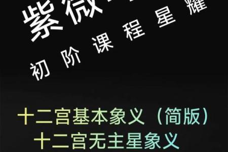 紫微斗数紫薇落官禄宫