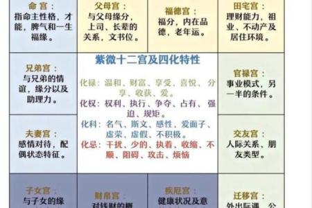 用我的八字推出来了，喜欢紫微斗数。