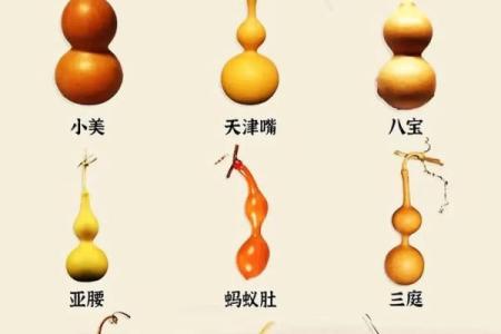 风水上葫芦有什么寓意和象征