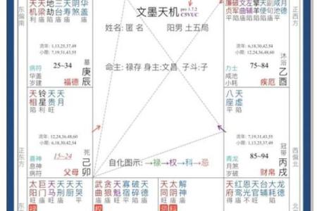 假从紫微斗数 紫微斗数实战？
