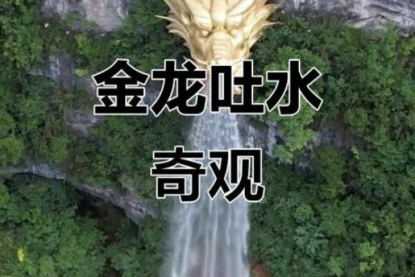 风水上龙吐水寓意是什么 风水上龙吐水寓意是什么