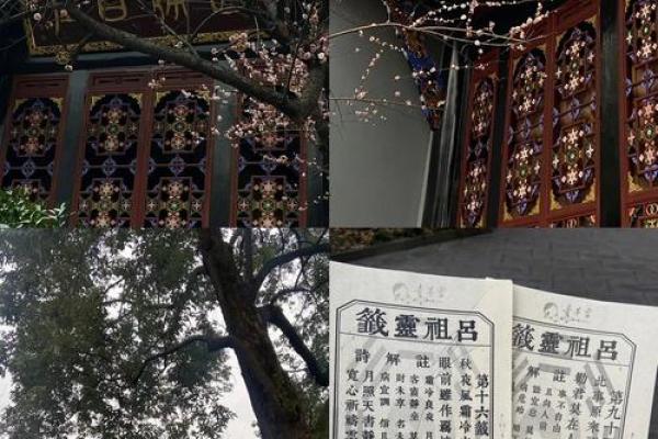 青羊宫的灵签是什么意思啊