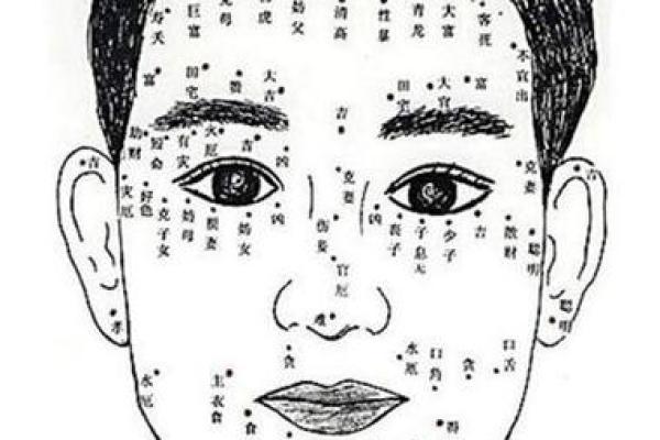 胎记算命的位置与命运