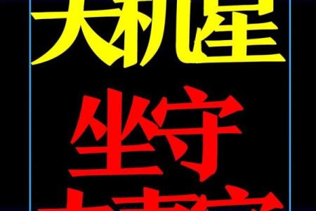 紫薇斗数身主天机