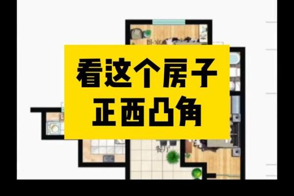 电视剧房子风水设计图片