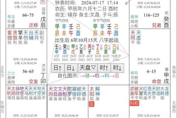 紫薇斗数星宿详解
