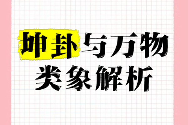 紫微斗数之八卦万物类象：坤卦详解