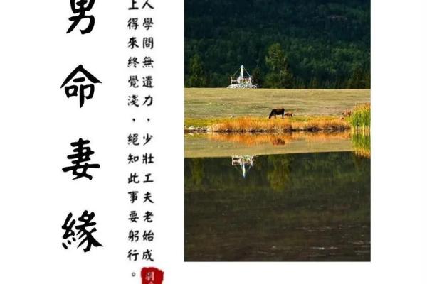 八字算命爱情 这几个八字的组合容易在一起白头偕老 八字算命爱情 这几个八字的组合容易在一起白头偕老