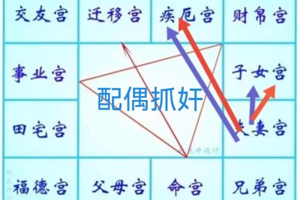 紫微斗数学习 紫微斗数在线排盘免费？