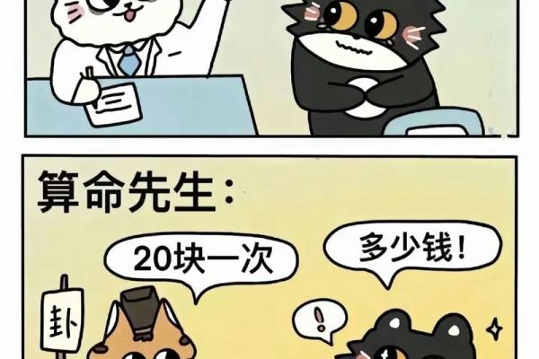 搞笑小鸟算命视频