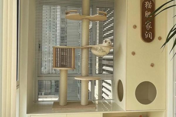 家里如何建个猫房子呢风水 家里如何建个猫房子呢风水