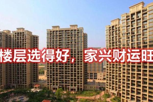 终于找到了！好风水的房子环境