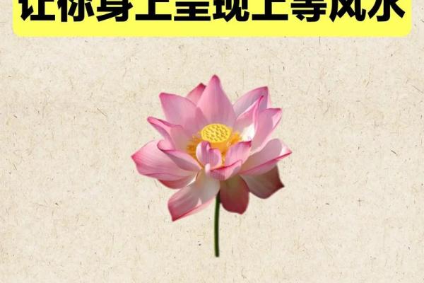 风水辟邪大全,一定要牢牢记住 风水辟邪大全,一定要牢牢记住