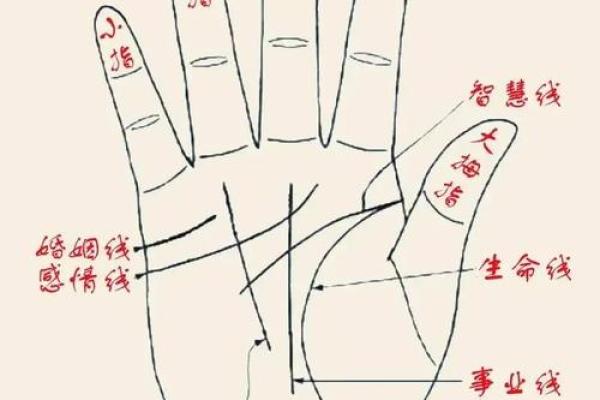 怎么看手相算命?只看男左女右对吗? 怎么看手相算命?只看男左女右对吗?