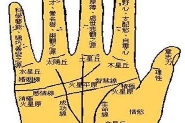 怎么看手相算命?只看男左女右对吗? 怎么看手相算命?只看男左女右对吗?