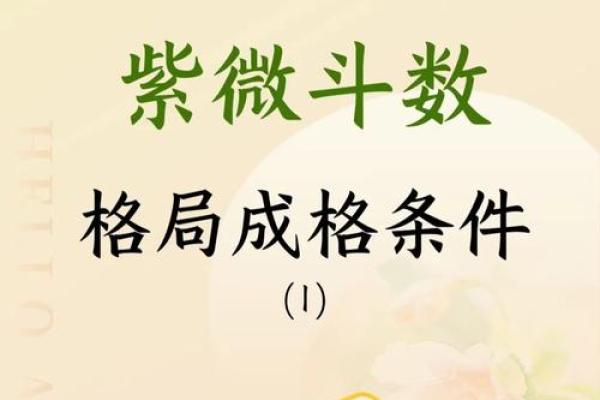 何国栋紫薇斗数