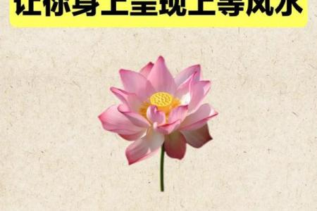 风水辟邪大全，一定要牢牢记住