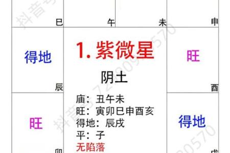 紫微斗数诸星落诸宫之：巨门星财帛宫详解