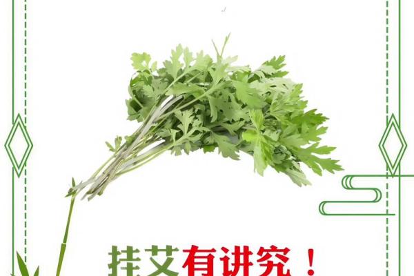 风水端午艾草挂艾草在门口寓意 风水端午艾草挂艾草在门口寓意