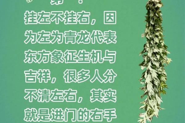 风水端午艾草挂艾草在门口寓意 风水端午艾草挂艾草在门口寓意