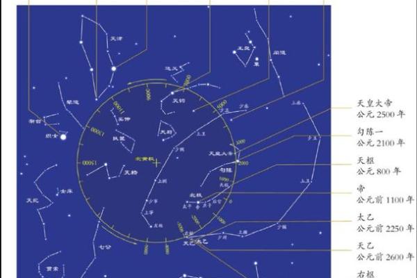 紫薇星北极星是什么龙 紫薇星北极星是什么龙