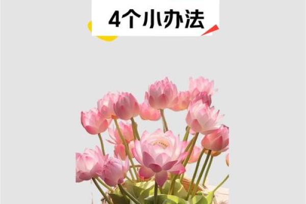 哪种风水会破坏财运- 哪种风水会破坏财运-