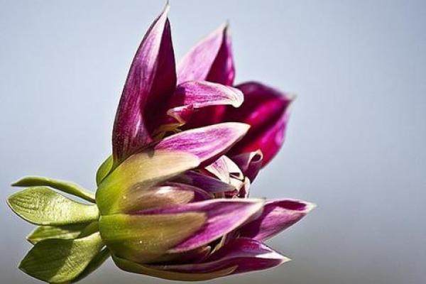 梦见好多尸骨佛滔算命